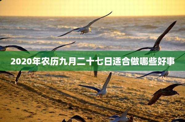 2020年农历九月二十七日适合做哪些好事