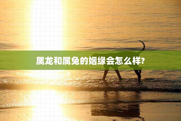 属龙和属兔的姻缘会怎么样?