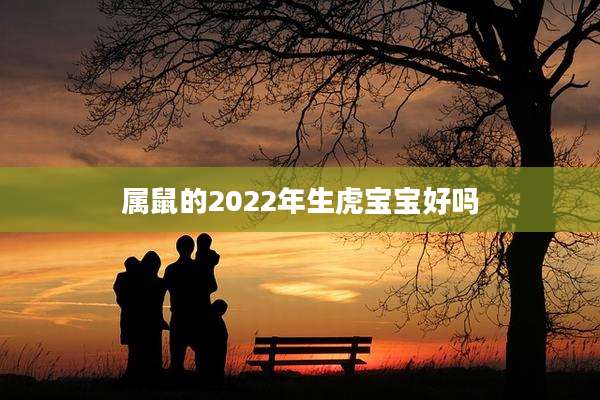 属鼠的2022年生虎宝宝好吗