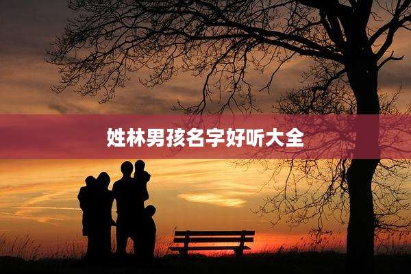 姓林男孩名字好听大全