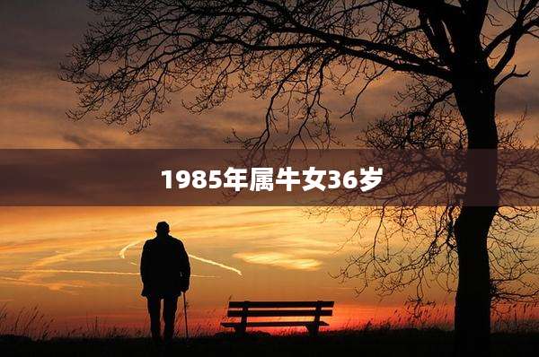 1985年属牛女36岁
