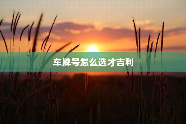 车牌号怎么选才吉利