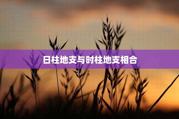 日柱地支与时柱地支相合