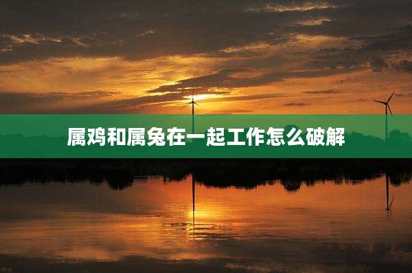 属鸡和属兔在一起工作怎么破解