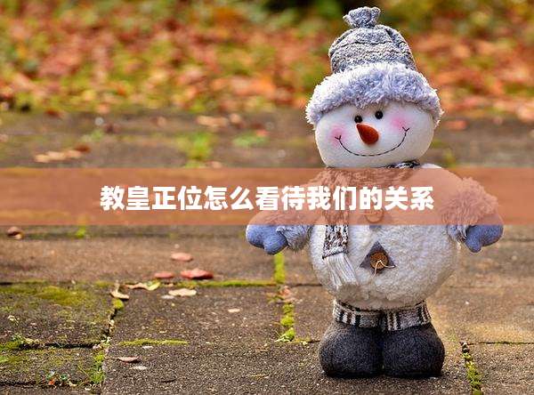 教皇正位怎么看待我们的关系
