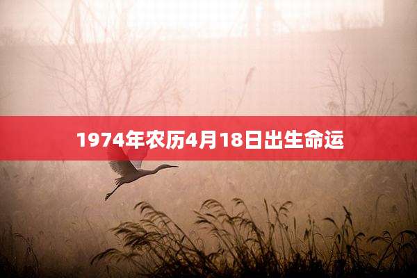1974年农历4月18日出生命运