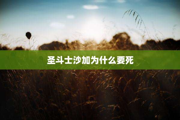 圣斗士沙加为什么要死