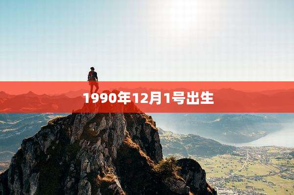 1990年12月1号出生