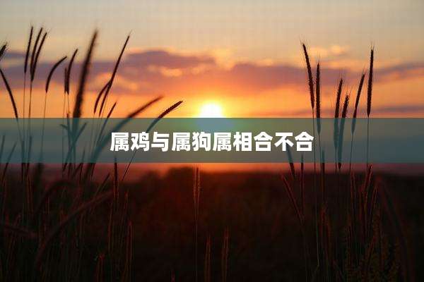 属鸡与属狗属相合不合