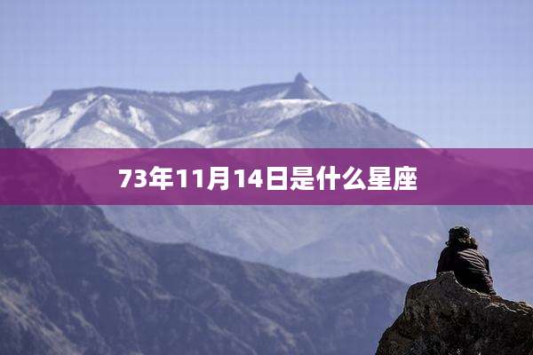 73年11月14日是什么星座