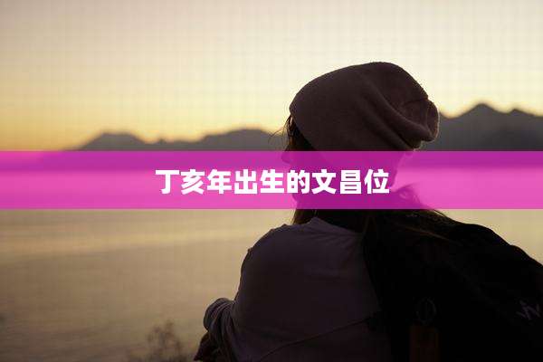 丁亥年出生的文昌位