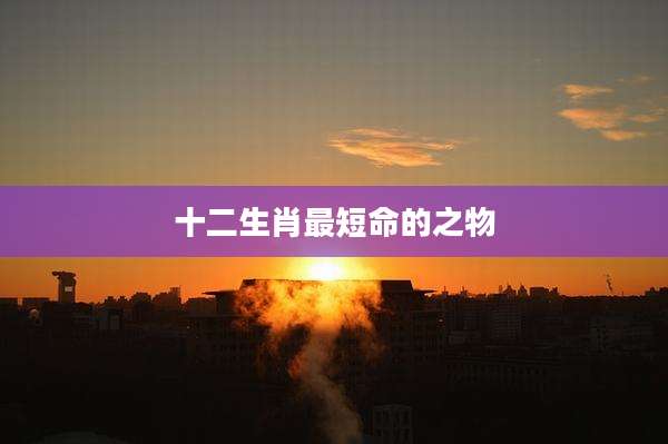 十二生肖最短命的之物