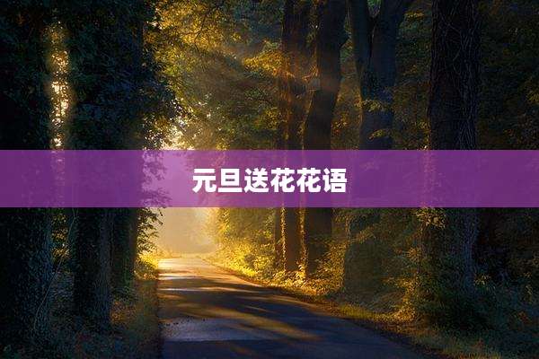 元旦送花花语