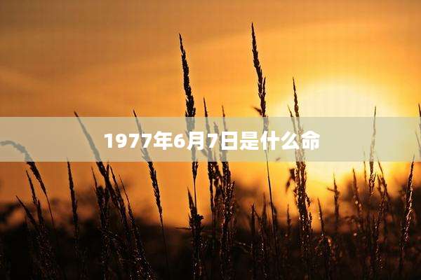 1977年6月7日是什么命