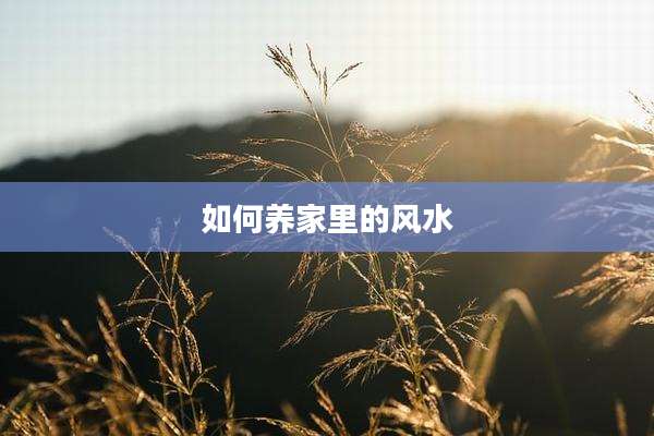 如何养家里的风水