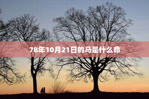 78年10月21日的马是什么命
