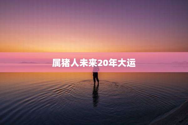 属猪人未来20年大运