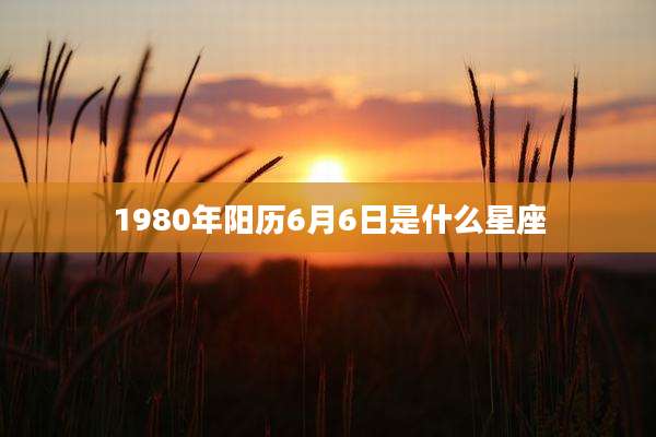 1980年阳历6月6日是什么星座