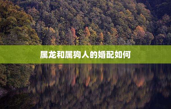 属龙和属狗人的婚配如何