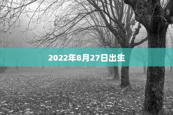 2022年8月27日出生