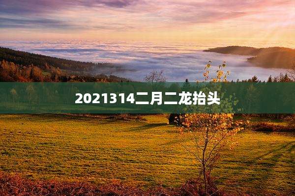 2021314二月二龙抬头