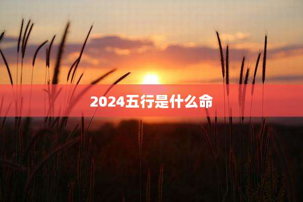 2024五行是什么命