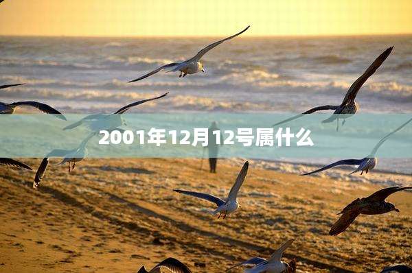 2001年12月12号属什么