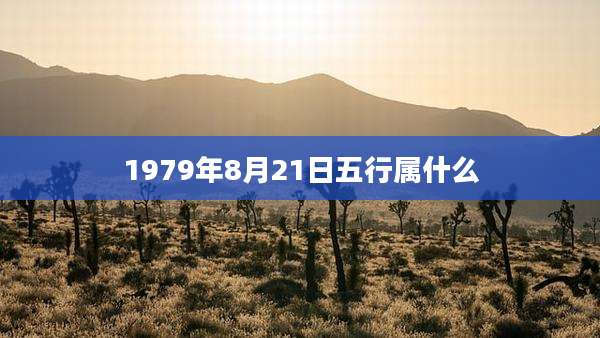 1979年8月21日五行属什么