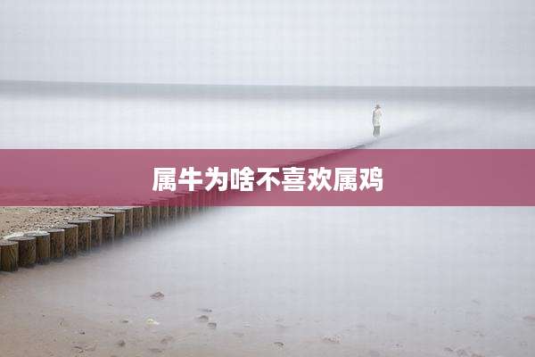 属牛为啥不喜欢属鸡