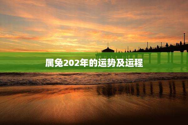 属兔202年的运势及运程