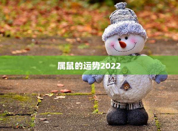 属鼠的运势2022
