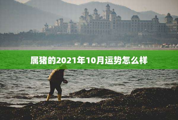 属猪的2021年10月运势怎么样