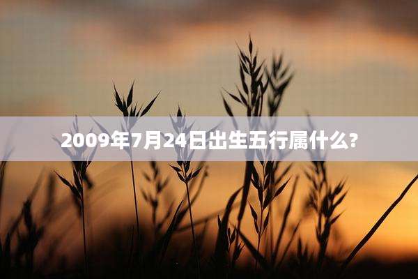2009年7月24日出生五行属什么?