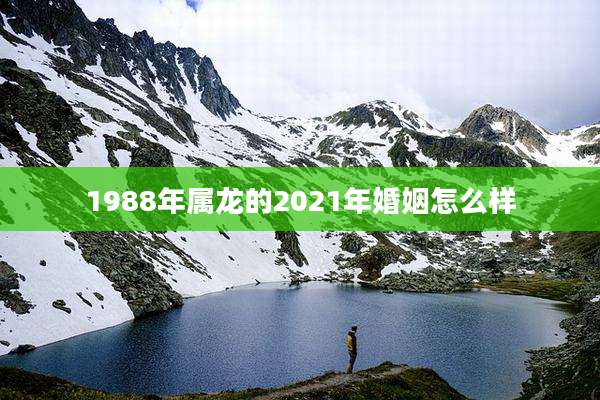 1988年属龙的2021年婚姻怎么样