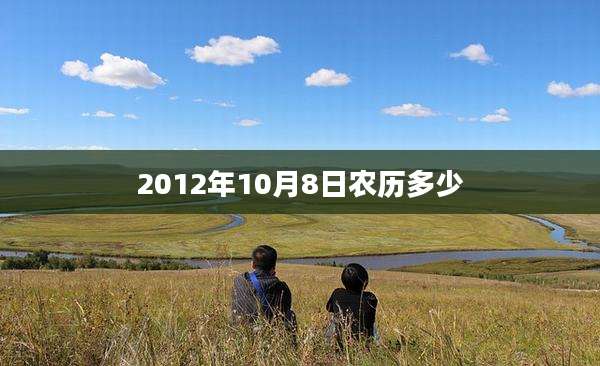 2012年10月8日农历多少