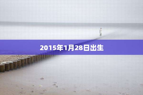 2015年1月28日出生