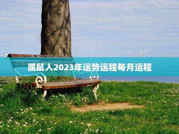 属鼠人2023年运势运程每月运程