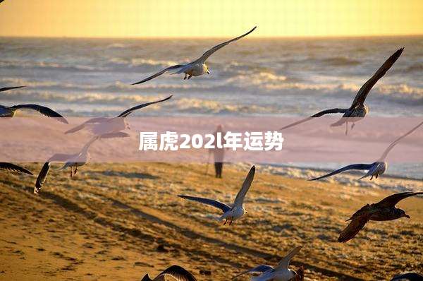 属虎202l年运势