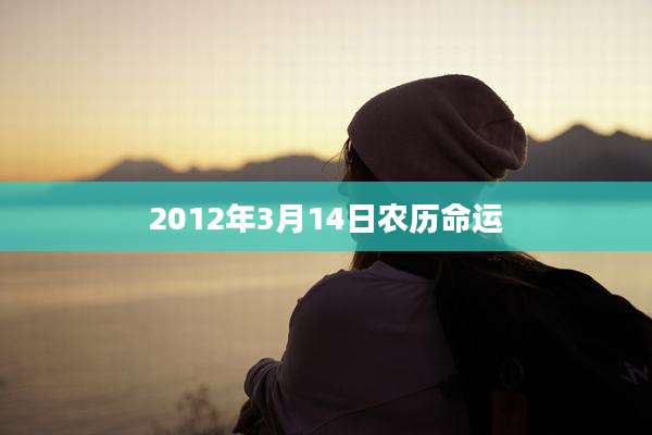 2012年3月14日农历命运