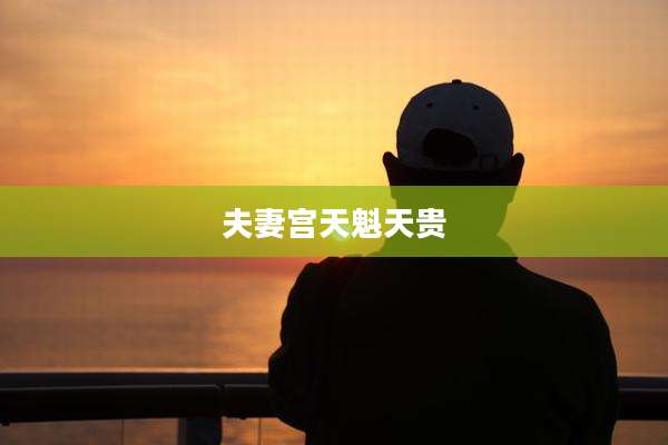 夫妻宫天魁天贵