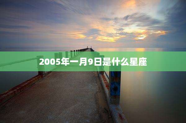 2005年一月9日是什么星座