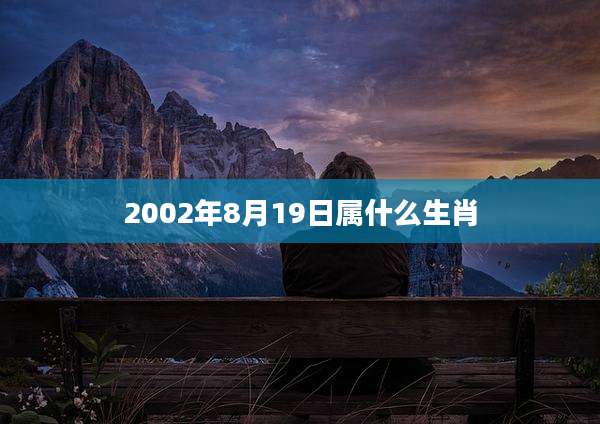 2002年8月19日属什么生肖