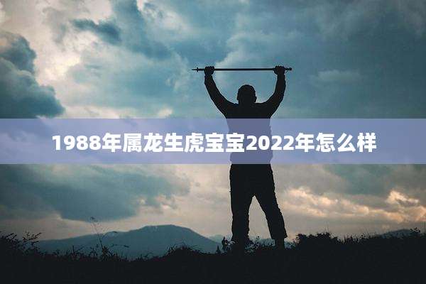 1988年属龙生虎宝宝2022年怎么样