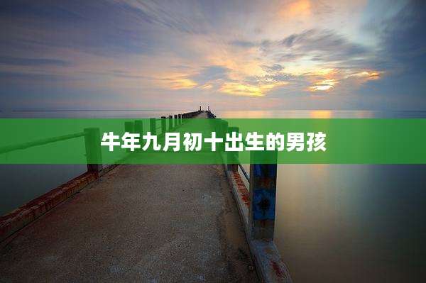 牛年九月初十出生的男孩