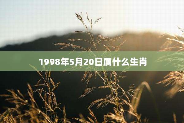 1998年5月20日属什么生肖