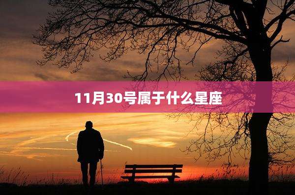 11月30号属于什么星座