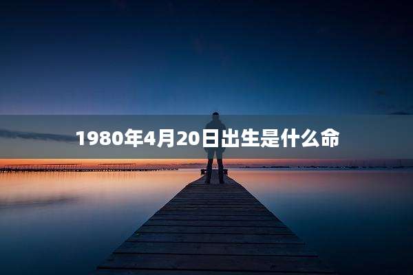 1980年4月20日出生是什么命