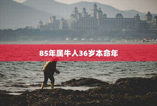 85年属牛人36岁本命年