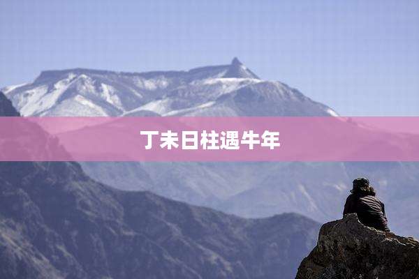 丁未日柱遇牛年
