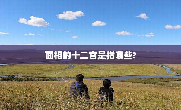 面相的十二宫是指哪些?
